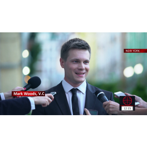 Sleek All in one Bugs